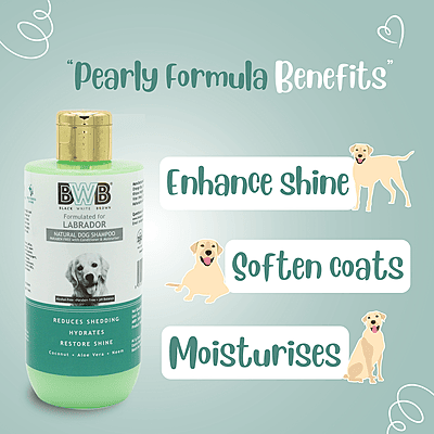 BWB LABRADOR SHAMPOO