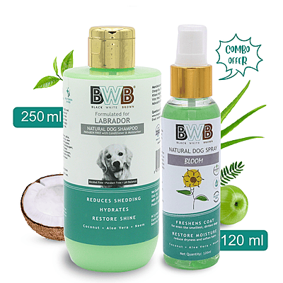 Labrador Shampoo (250 ml + deospray) Labrador Shampoo (250 ml + deospray)