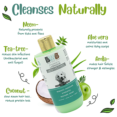 BWB LABRADOR SHAMPOO_250ML BWB LABRADOR SHAMPOO_250ML