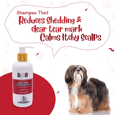 BWB LHASA APSO SHAMPOO