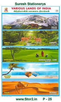 Five Types Of Lands - Educational Picture Chart No - 25