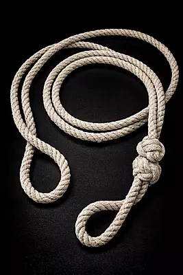 Lanyard (White)