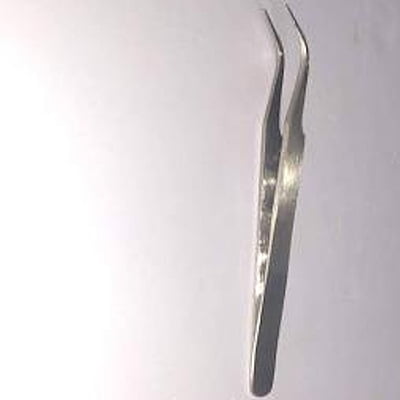 Entomological Forceps - 11.5cm curved with sharp tip