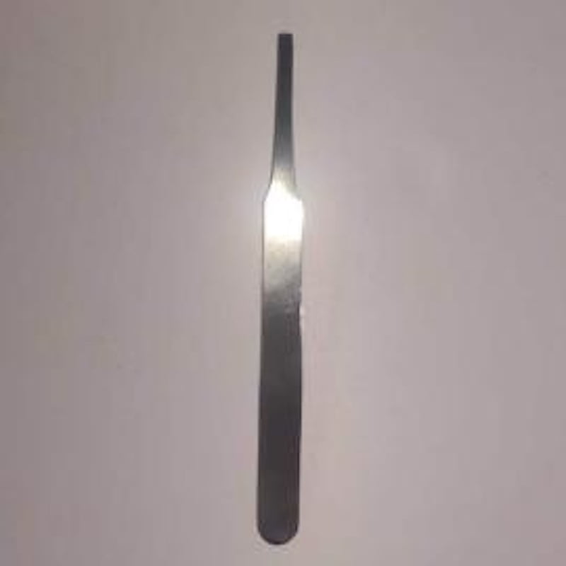 Entomological Forceps - 12.5cm Round Wide Blunt Tip