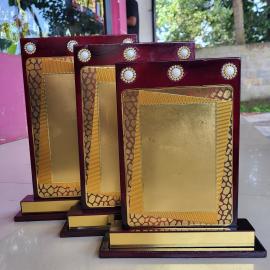 V-829S NO:1 28CM 18%