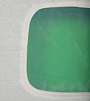 Mosquito Larval Tray with Cloth Based Lid