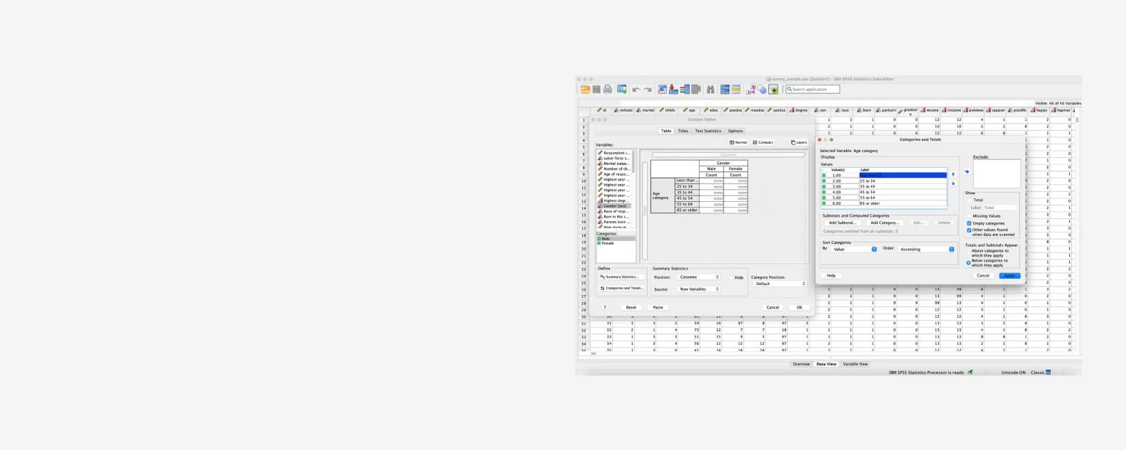 SPSS Custom Tables (Module) (with 1 yr sub)