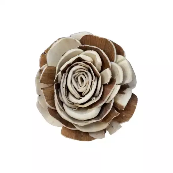 Raizel sola wood flower for décor, crafts, and floral styling – LEAFNDEOR