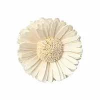 Leafndeor natural ivory sola wood sunflower dry flowers for home decor and wedding decoration