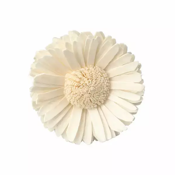 Leafndeor natural ivory sola wood sunflower dry flowers for home decor and wedding decoration