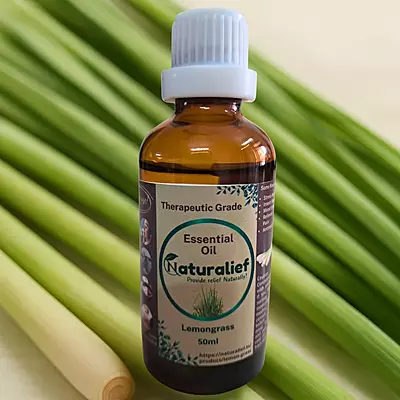 Lemongrass Essential Oil – Pure, Potent, and Uplifting