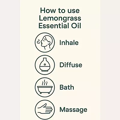 Lemongrass Essential Oil – Pure, Potent, and Uplifting