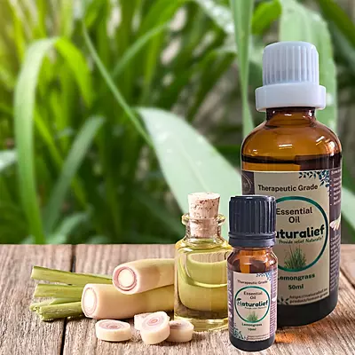 Lemongrass Essential Oil – Pure, Potent, and Uplifting