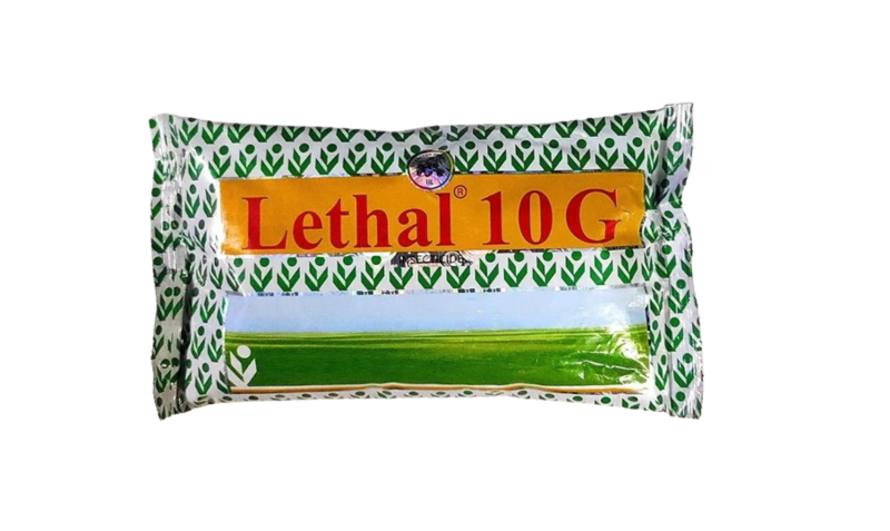 Lethal 10 G