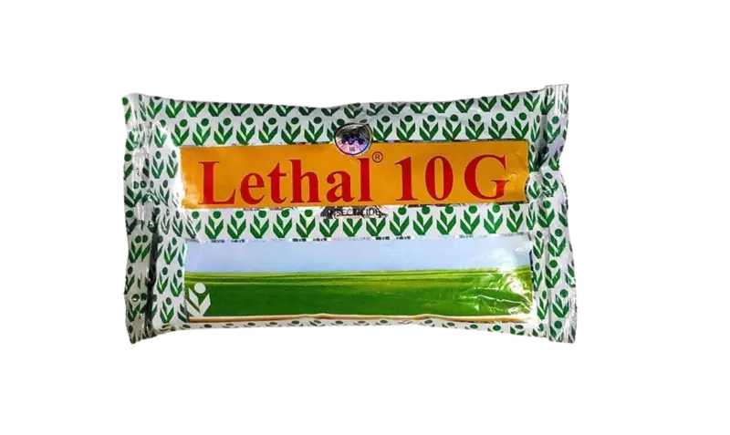 Lethal 10 G