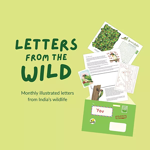 Letters from the Wild