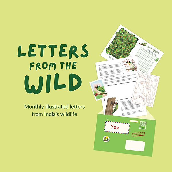 Letters from the Wild