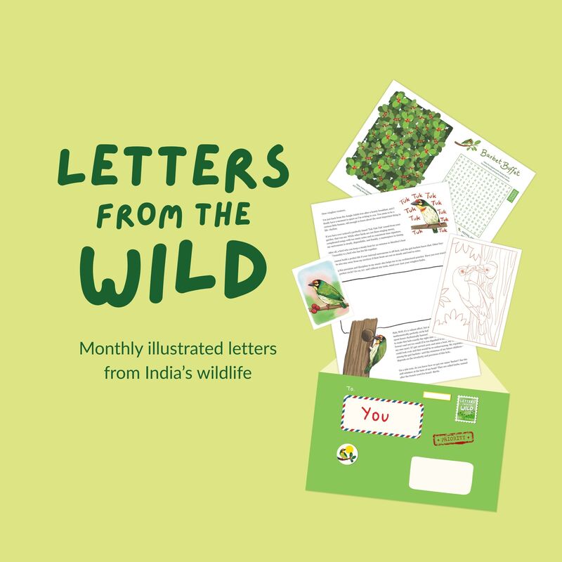 Letters from the Wild