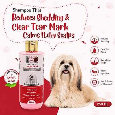 BWB LHASA APSO SHAMPOO BWB LHASA APSO SHAMPOO