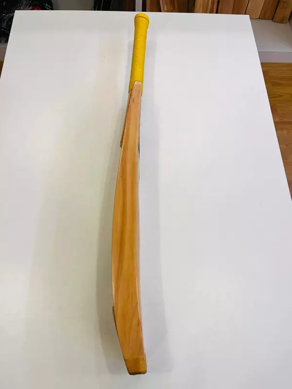 Limited Edition Kashmir Willow