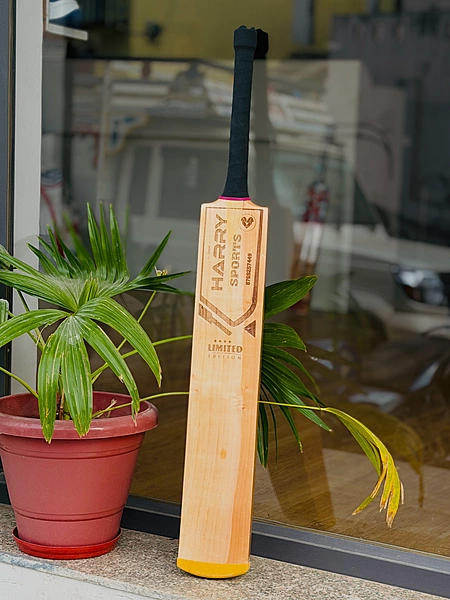 Limited Edition Kashmir Willow