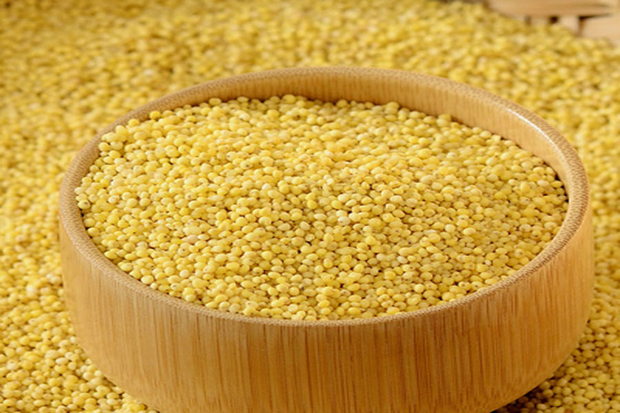 Little Millet Rice Little Millet Rice