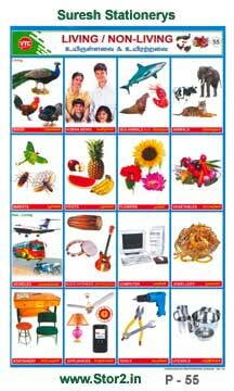 Living Thing / Non Living Thing Picture Chart No - 55
