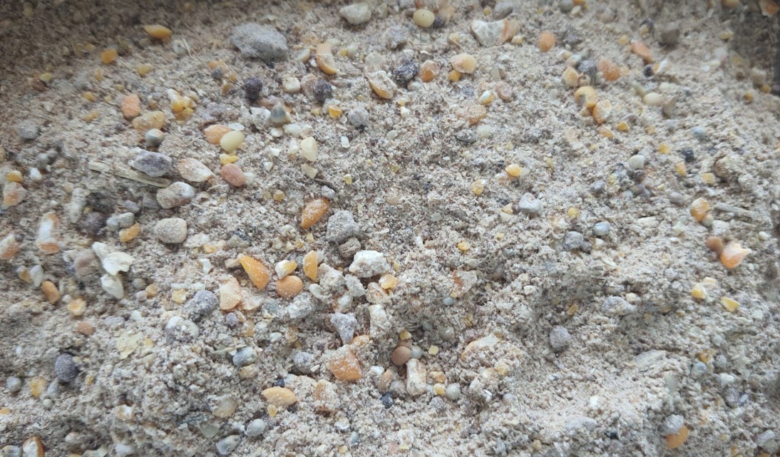 LG Layer mash (Phase 2)