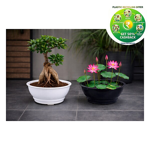 Lotus Plastic Plant Pot | 15.5 Inch | Decorative Garden Planter