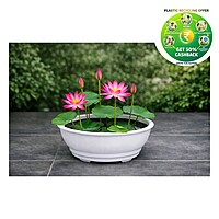 Lotus Plastic Plant Pot | 15.5 Inch | Decorative Garden Planter
