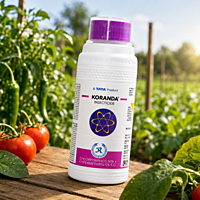 TATA Rallis Koranda Insecticide | Vetrivel Agro Services