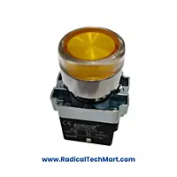 Luminous Push Button