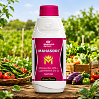 Mankind MAHASODI® Insecticide (Chlorpyrifos 50% + Cypermethrin 5% EC) | Vetrivel Agro Services
