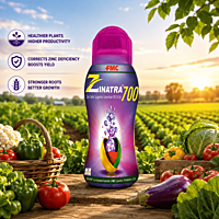 Zinatra® 700 Crop Nutrition | FMC | Vetrivel Agro Services