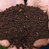 High Quality Vermicompost 1kg