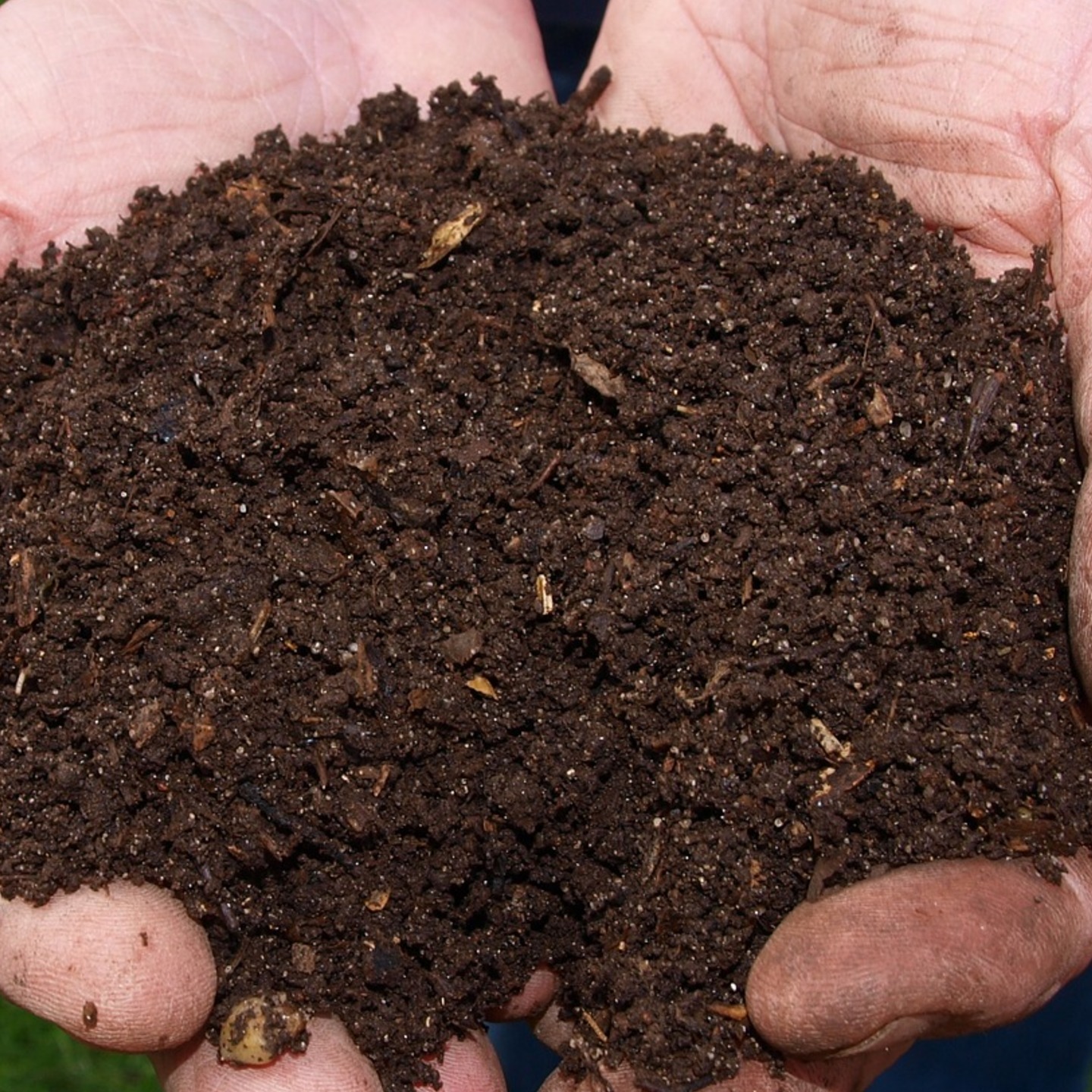 High Quality Vermicompost 1kg