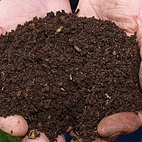 10kg High Quality Vermi compost