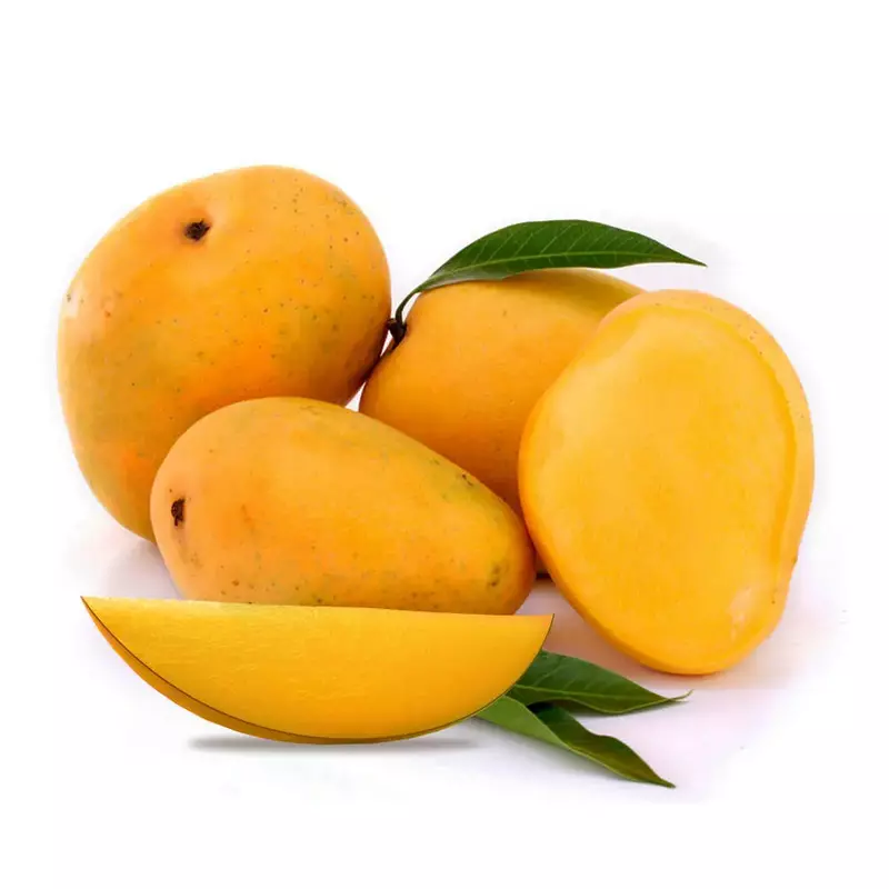 Mango மாம்பழம்