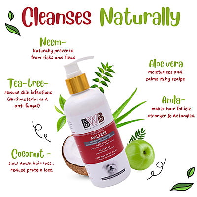 BWB MALTESE SHAMPOO