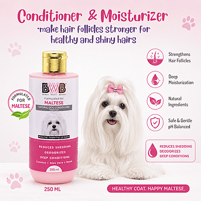 BWB MALTESE SHAMPOO BWB MALTESE SHAMPOO