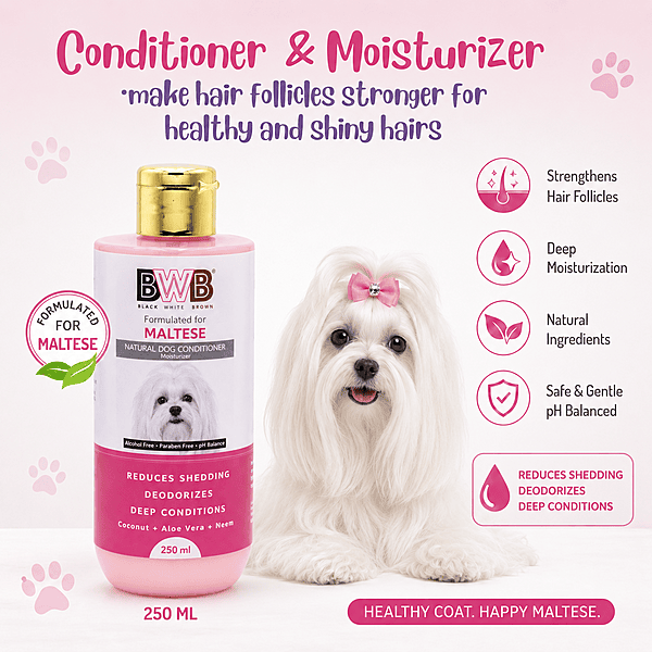 BWB MALTESE SHAMPOO BWB MALTESE SHAMPOO