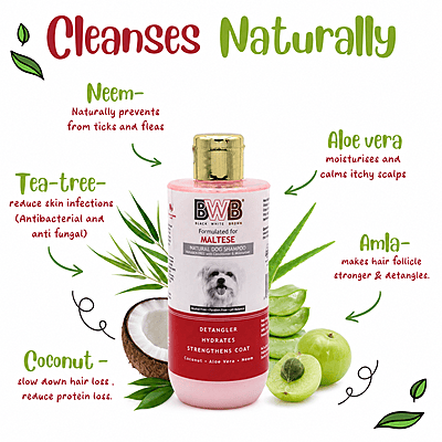 BWB MALTESE SHAMPOO BWB MALTESE SHAMPOO