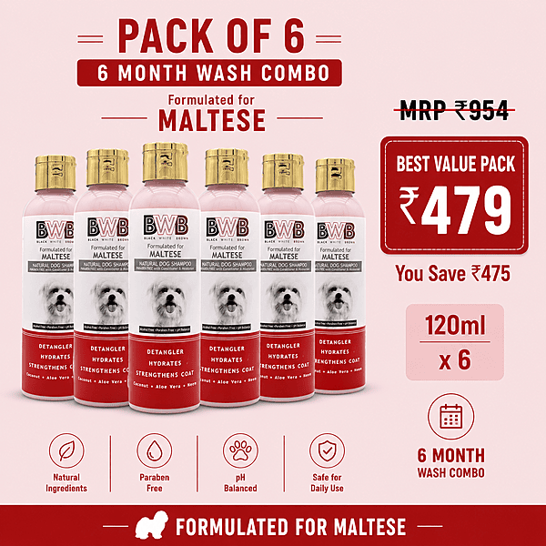 BWB MALTESE SHAMPOO-120ML