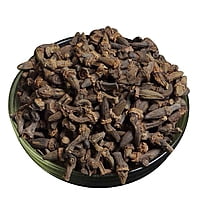 Marathi Moggu (Kapok Buds)