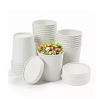 Paper Container With Lid
