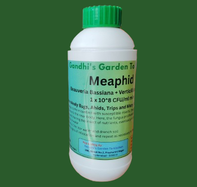 Meaphid   Bio-Insecticide for Chewing & Sucking Pests – Safe for All Indoor & Outdoor Plants