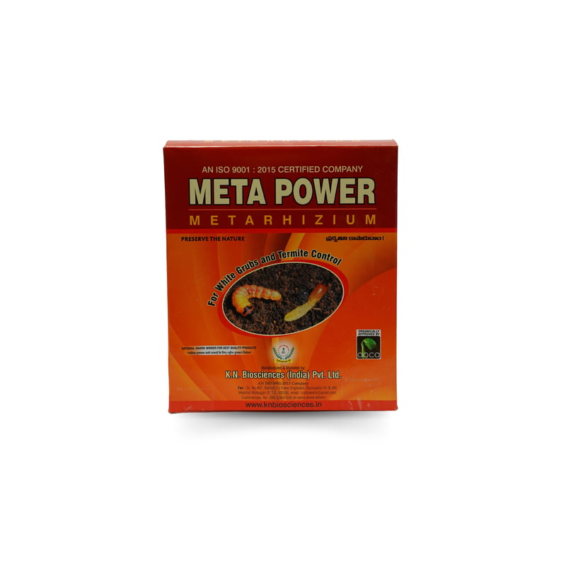 Meta power | The Best Powerful Soil Termites Control - Metarhizium anisoplea