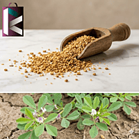 METHI DAL LOOSE -1KG