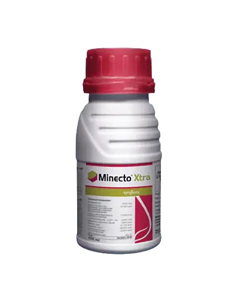 Minecto Xtra Insecticide – Fast-Acting, Long-Lasting Broad-Spectrum Pest Control - 100 ml