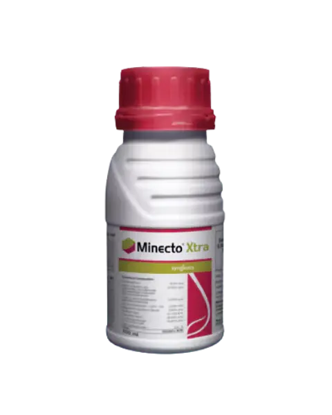 Minecto Xtra Insecticide – Fast-Acting, Long-Lasting Broad-Spectrum Pest Control - 100 ml
